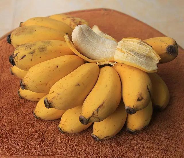 芭蕉和香蕉的区别（手把手教你分辨各类蕉）