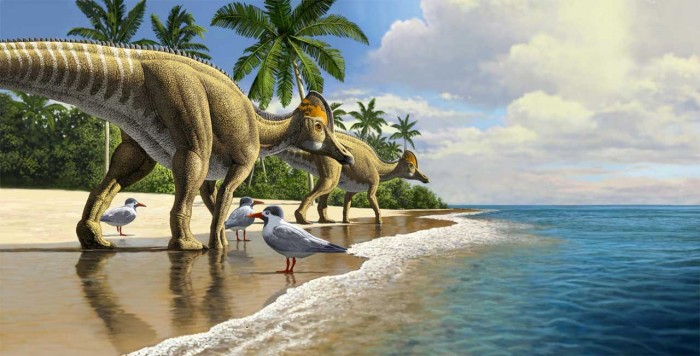 鸭嘴龙的外形特点（科学家首次在非洲发现鸭嘴龙化石）