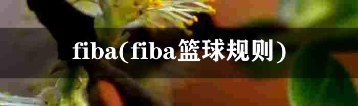 fiba(fiba篮球规则)