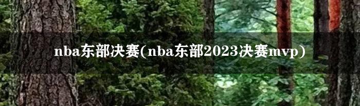nba东部决赛(nba东部2023决赛mvp)