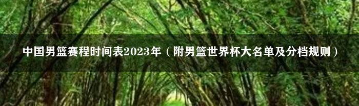 中国男篮赛程时间表2023年 附男篮世界杯大名单及分档规则